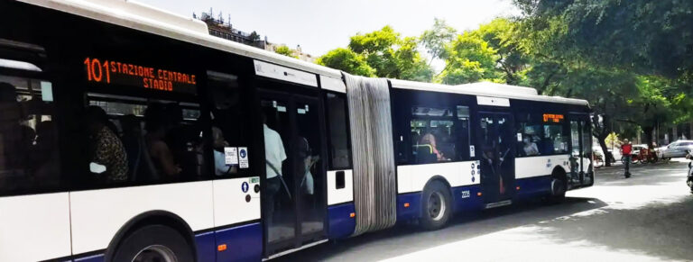 31/10/2024 – Vertenza rinnovo CCNL Sciopero nazionale 8 novembre 2024 – Volantino all’utenza